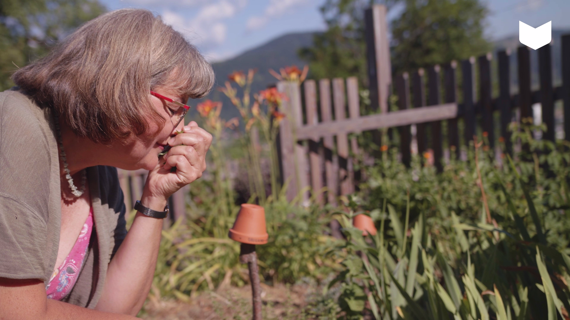 05 tbn zelisca za urejeno delovanje prebavil