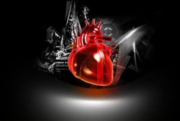 Clanek Srce Ozilje Prihicni