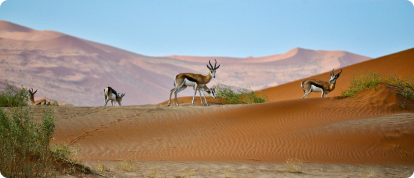 Namibija