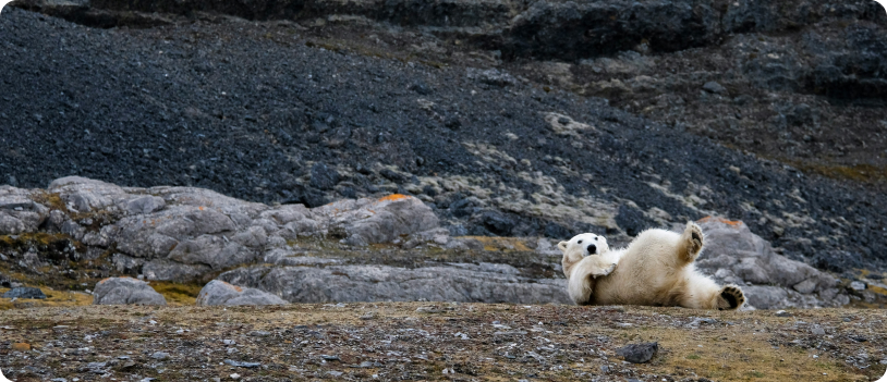 Svalbard