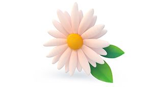 Rozica D 300x170